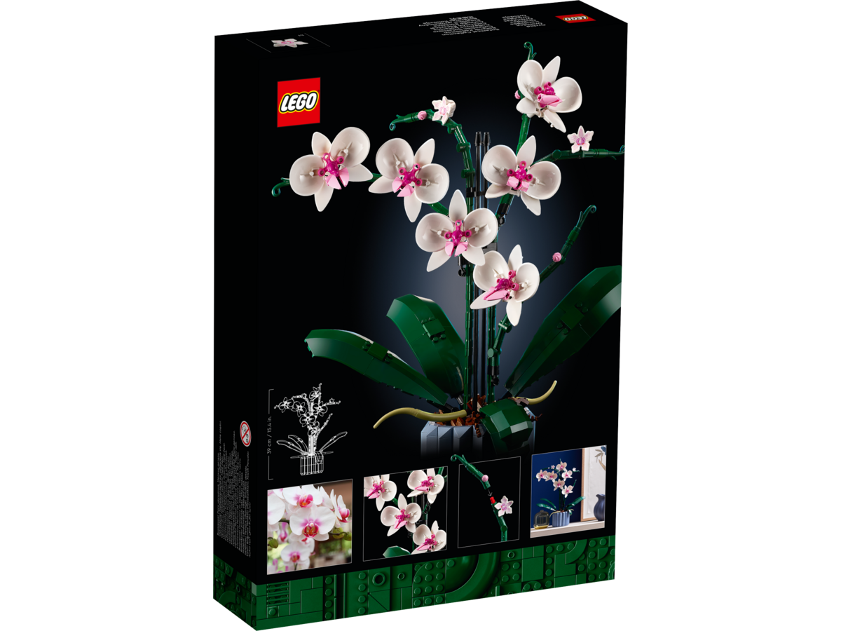 LEGO® icons Orchidee 10311 Blume, Pflanze, Blumen-Arrangement, Orchidee