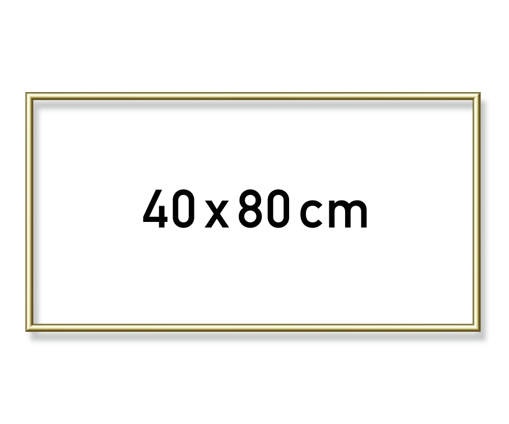 Schipper MNZ - Alurahmen Gold 40 x 80 cm