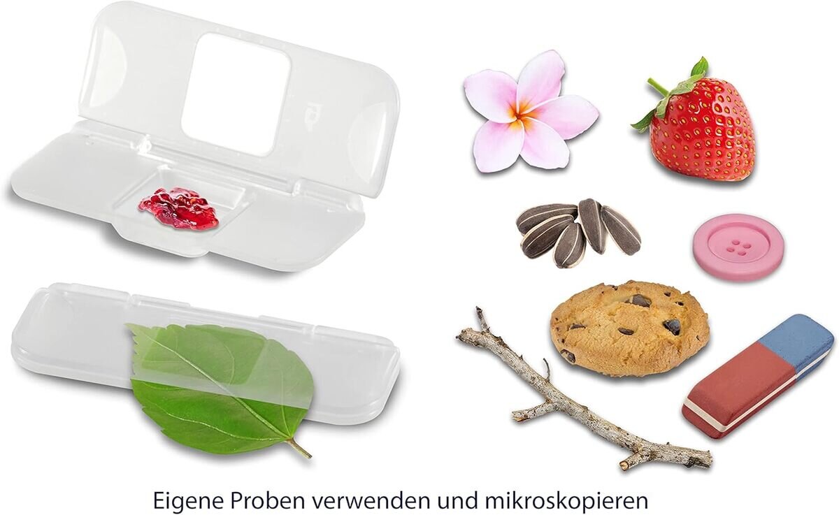 Mittagessen, Blatt, Beere, Obst, Erdbeere
