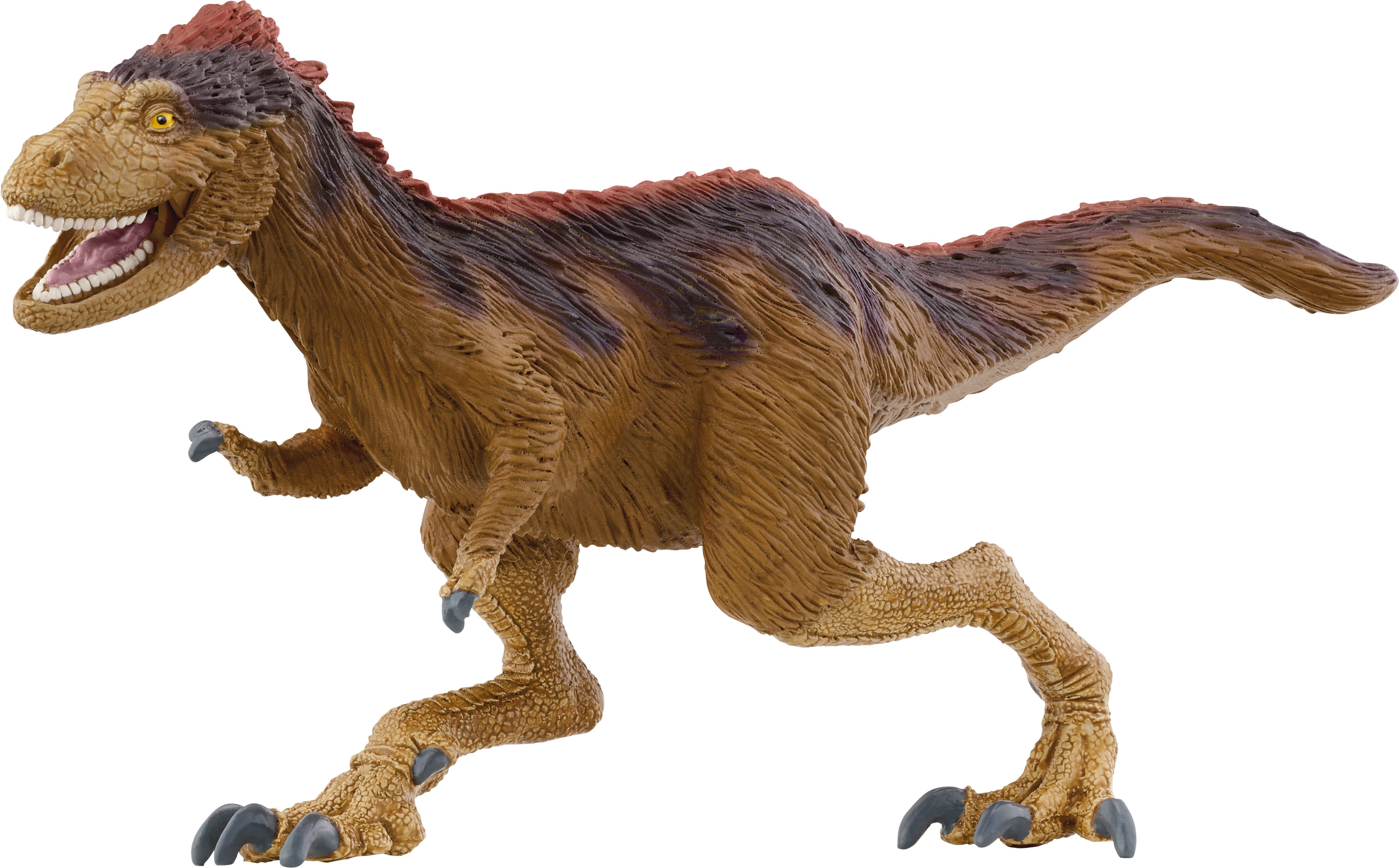 Tier, Dinosaurier, Reptil, T-Rex