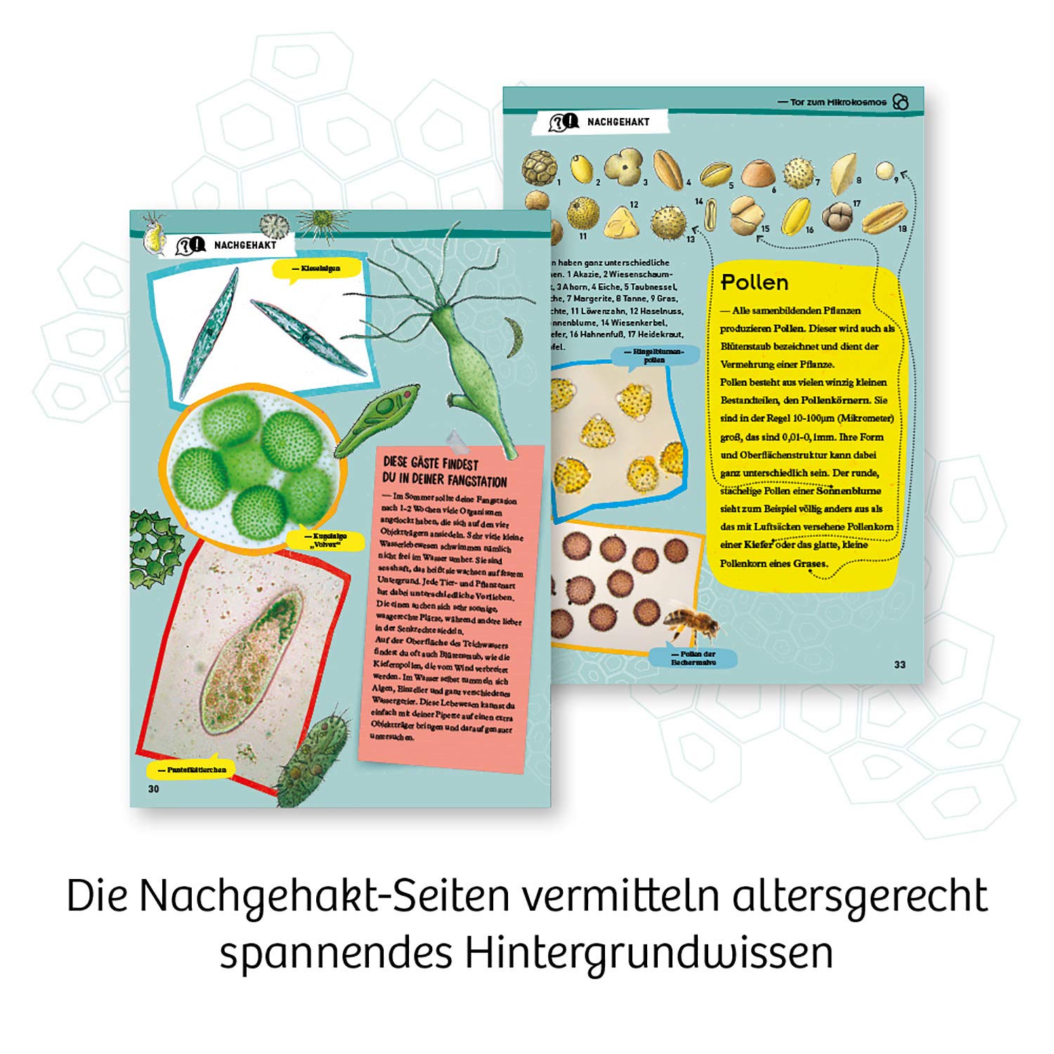 Kosmos Entdecker-Mikroskop - Spannendes Mikroskopie-Set Für Junge Naturforscher Ab 8 Jahren 636050 Werbung, Plakat