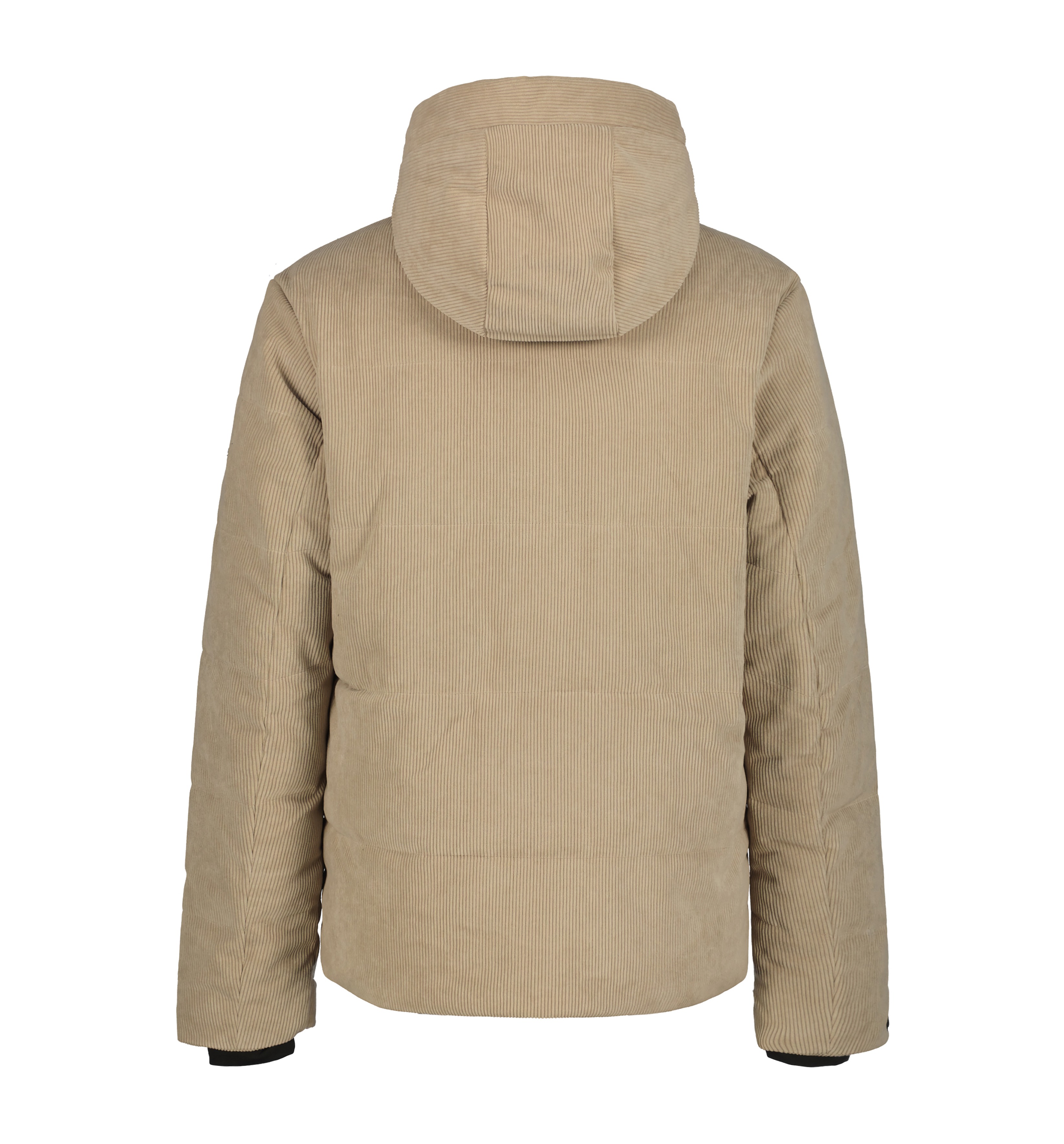 ICEPEAK 256116574ICL ELOY Winterjacke Herren Braun ICEPEAK 256116574ICL ELOY Winterjacke Herren Braun