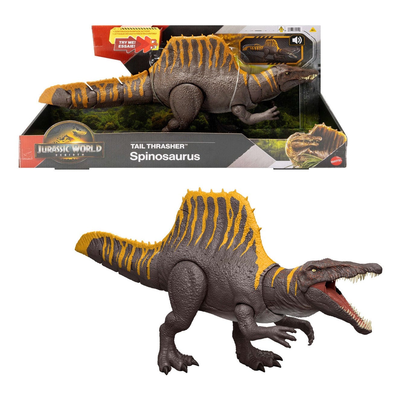 Tier, Dinosaurier, Reptil, T-Rex