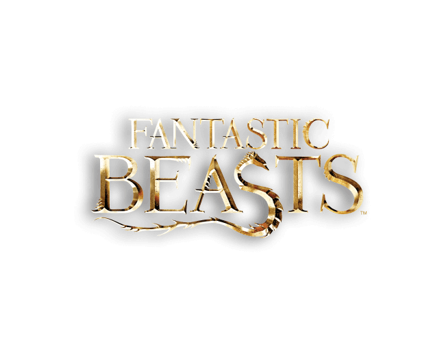 Buch, Veröffentlichung