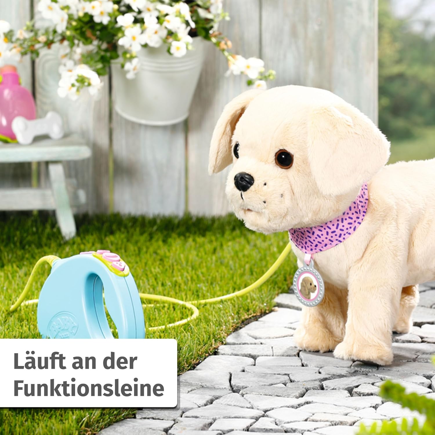 BABY born® Mein Hund Lucky mit Box BABY born® Mein Hund Lucky mit Box