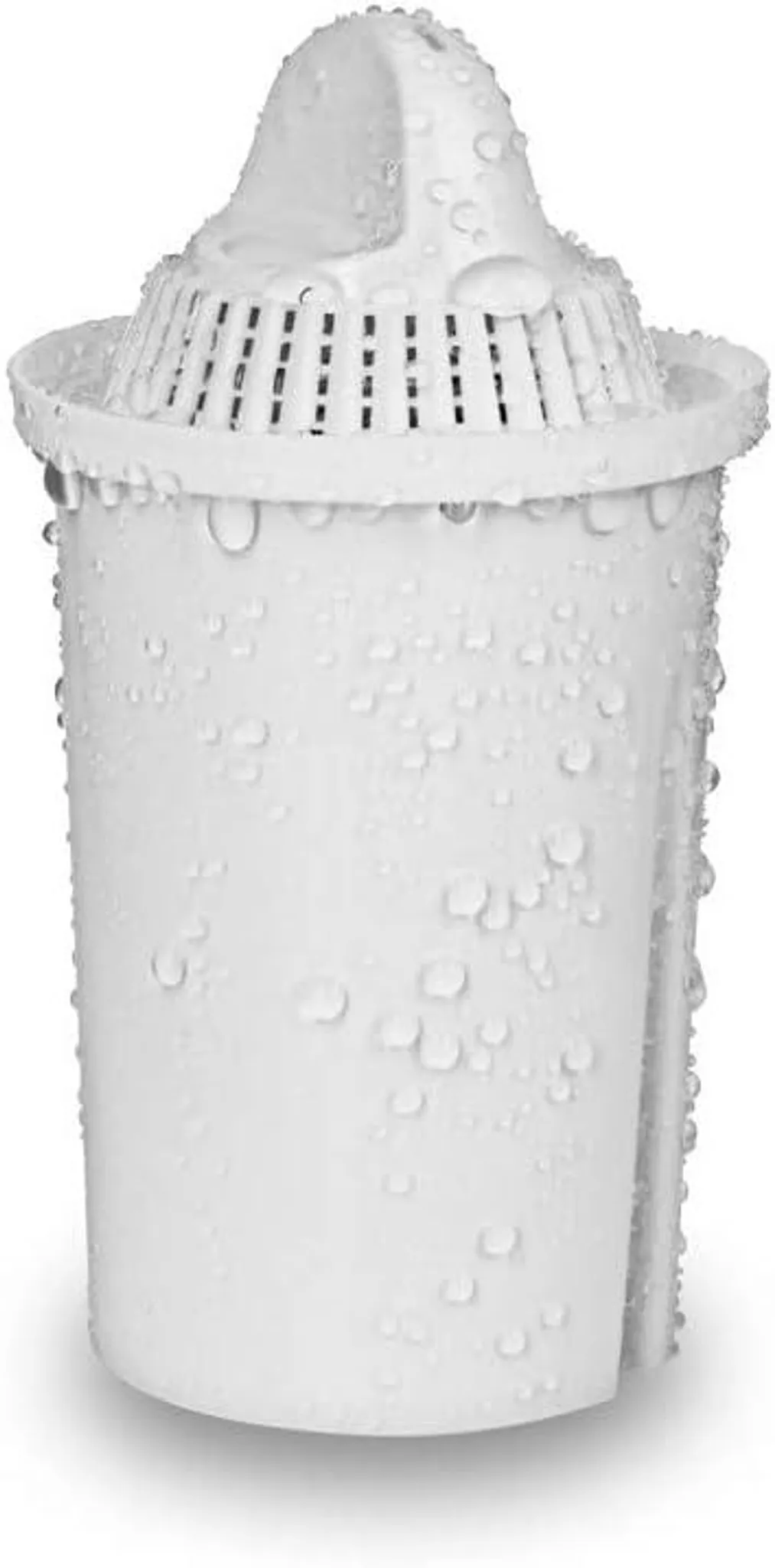 PEARLCO 286004 Wasserfilter FASH inkl. 1 Kartusche Anthrazit