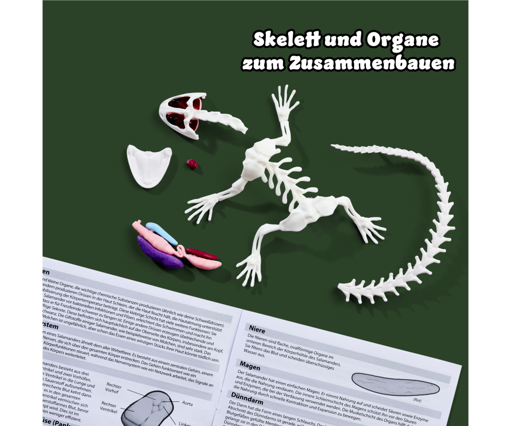 Simba Scout Dissect-It Salamander Simba Scout Dissect-It Salamander