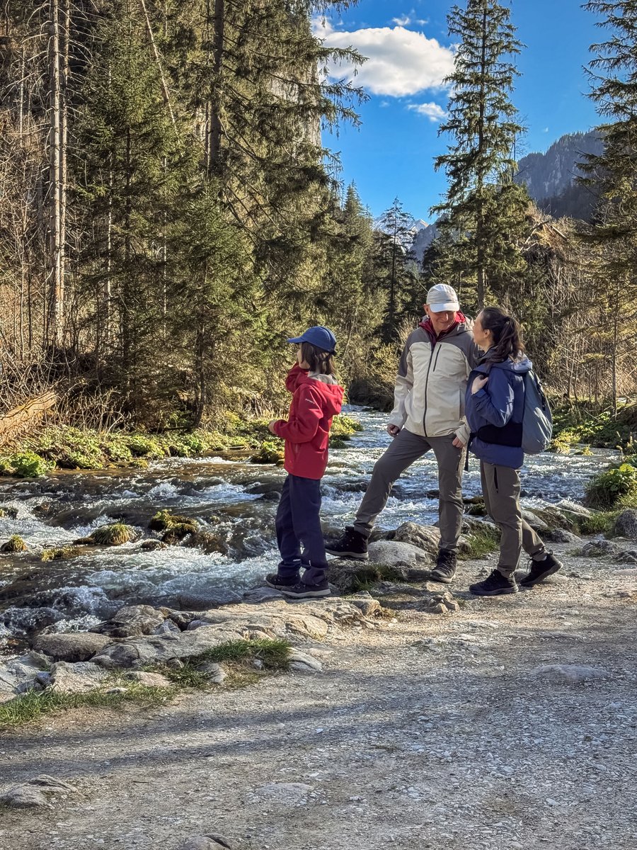 ICEPEAK 954050569I DIKE Outdoor-Hose Damen Granite Gr. 46