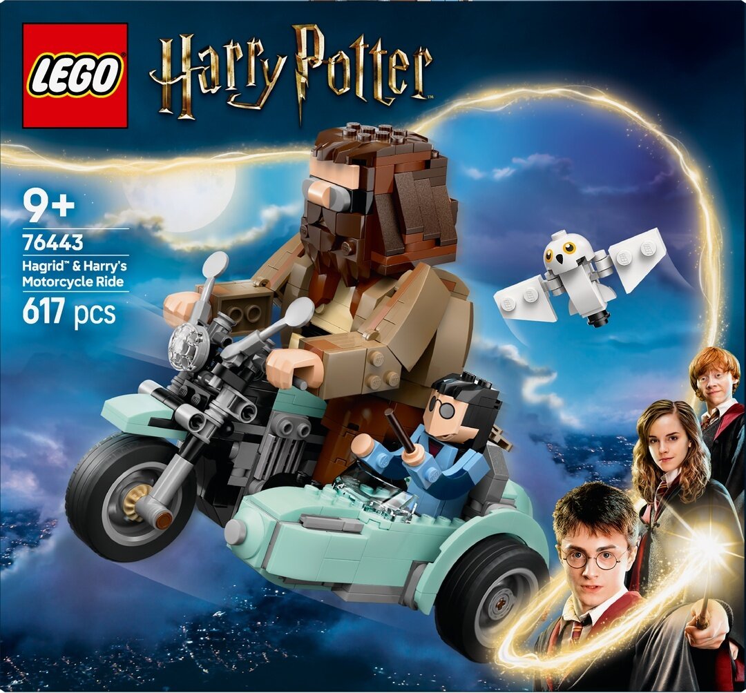 LEGO® Harry Potter™ 76443 Hagrids und Harrys Motorradtour Werbung, Person, Plakat, Comics, Gesicht