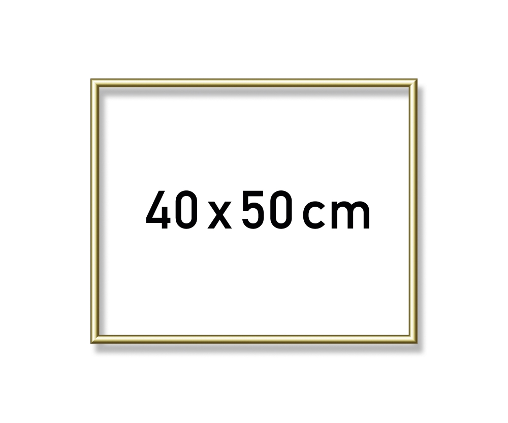 Schipper MNZ - Alurahmen Gold 40 x 50 cm