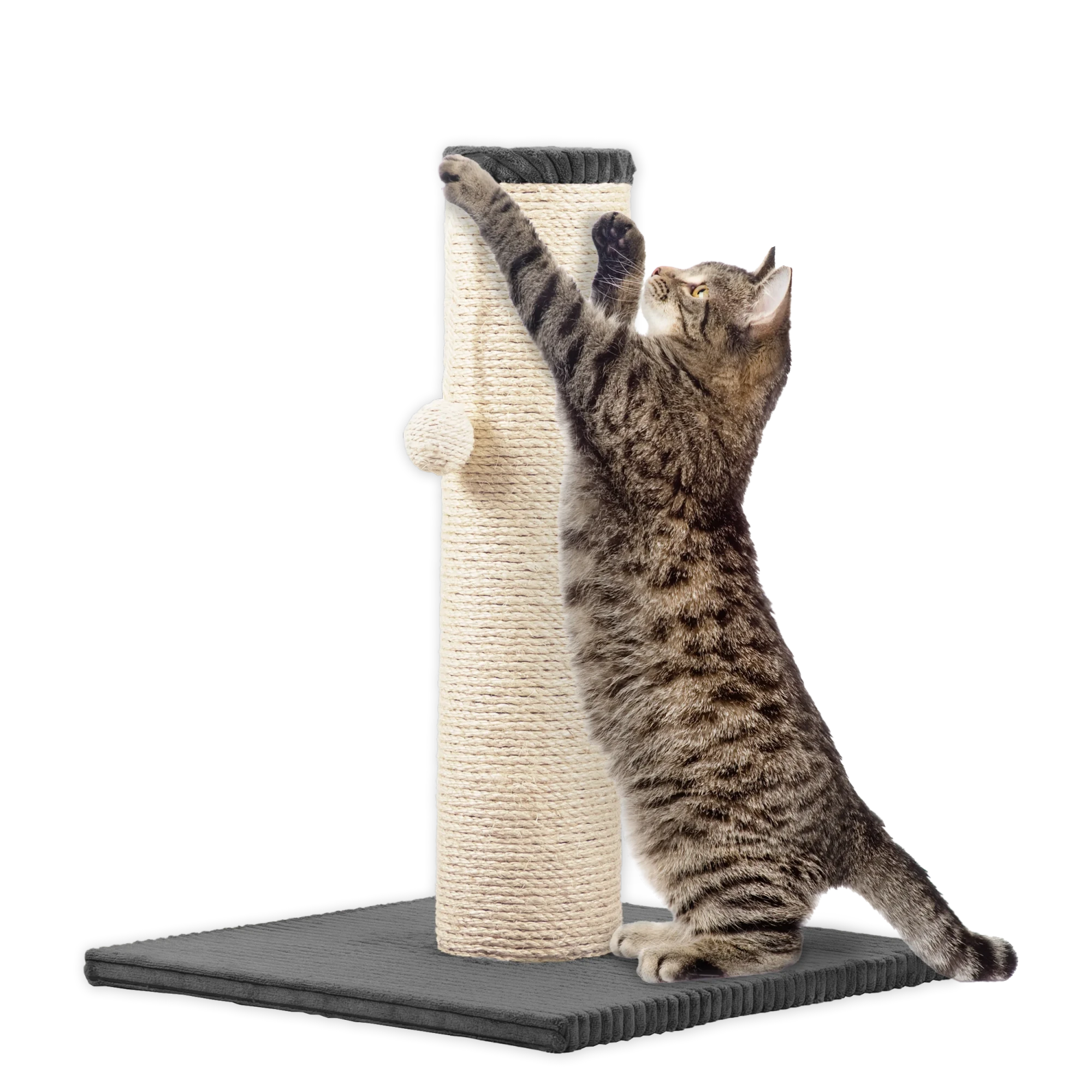 Rohrschneider RS 22386 Katzenbaum XL Stamm Cord – Kratzbaum mit Spielkugel GR.1