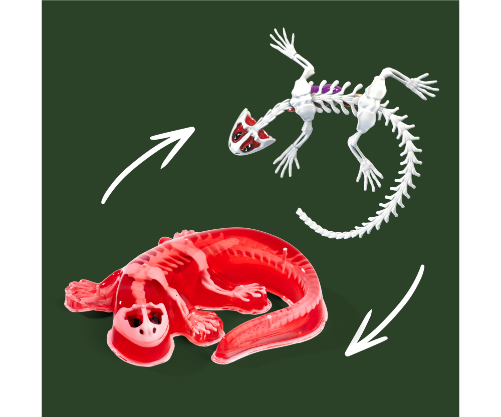 Simba Scout Dissect-It Salamander