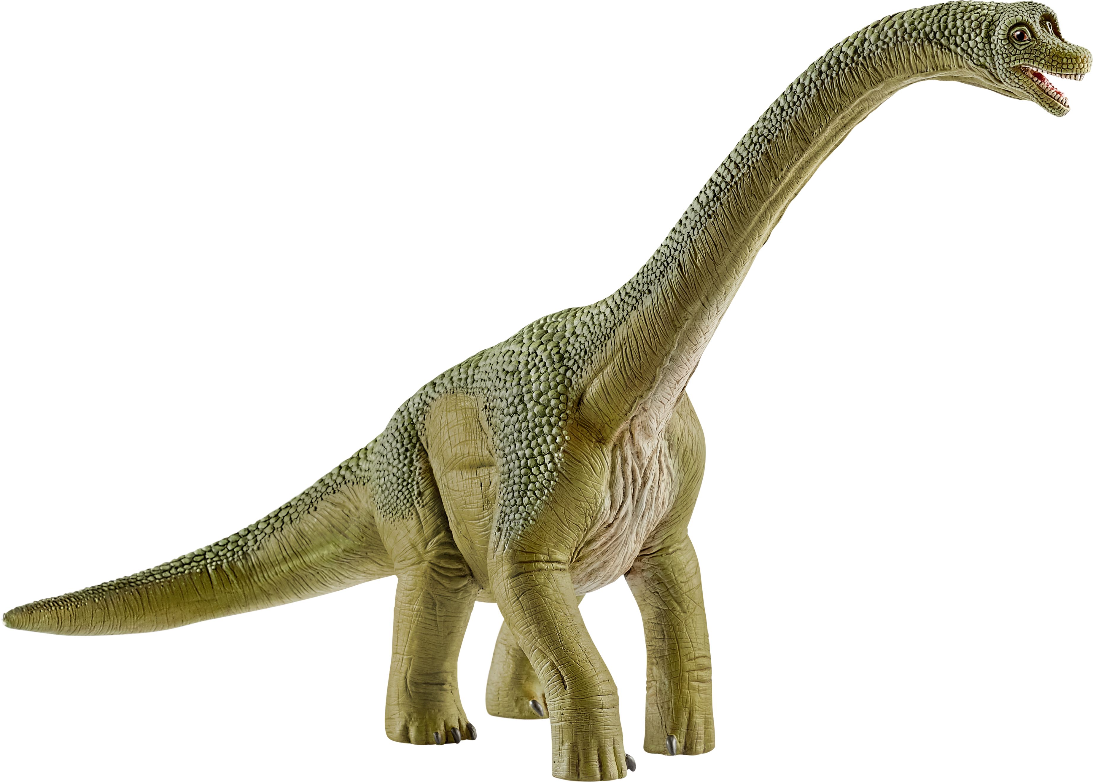 Tier, Dinosaurier, Reptil, T-Rex