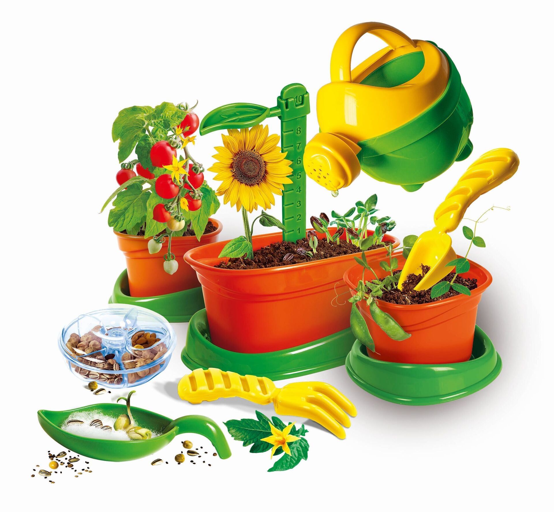 Produktfoto - Clementoni GmbH - Galileo Mein erstes Botanik-Set - Modell CLEMENTONI 59399