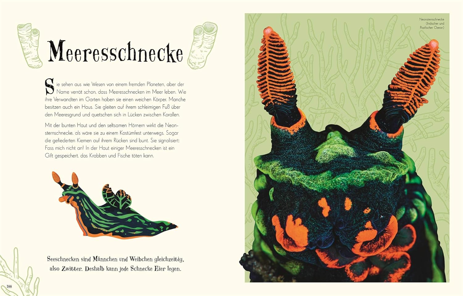 Berg, Natur, Im Freien, Werbung, Plakat