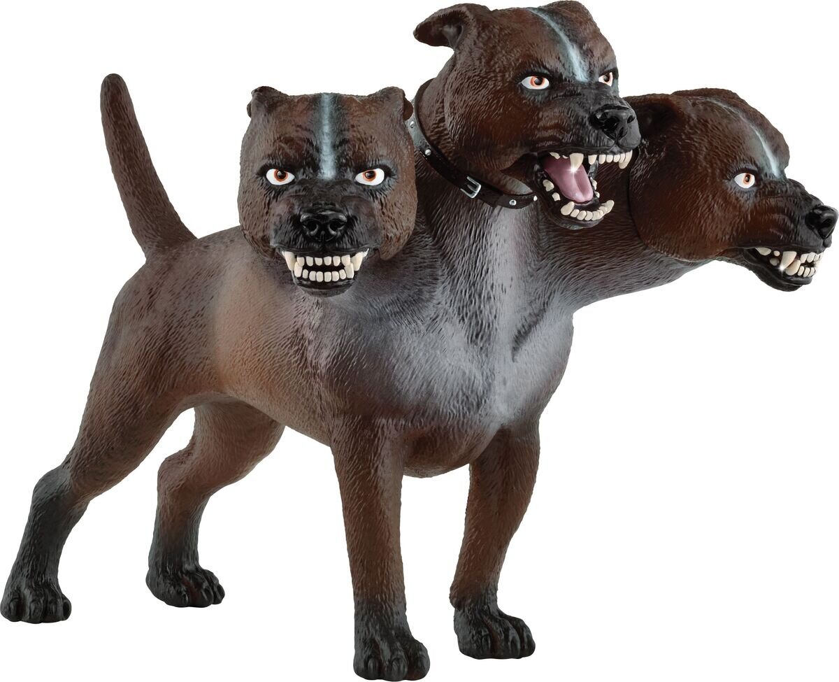 Schnauze, Hund, Säugetier, Haustier
