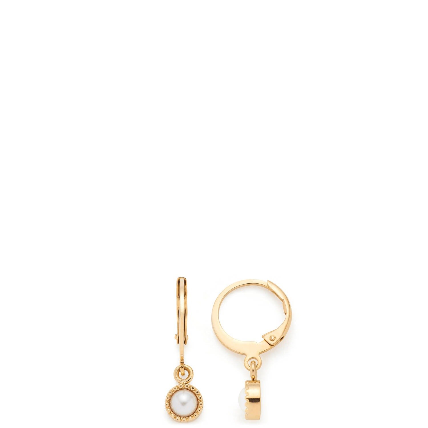 Leonardo 026221 Ohrring gold Althina CIAO Leonardo 026221 Ohrring gold Althina CIAO