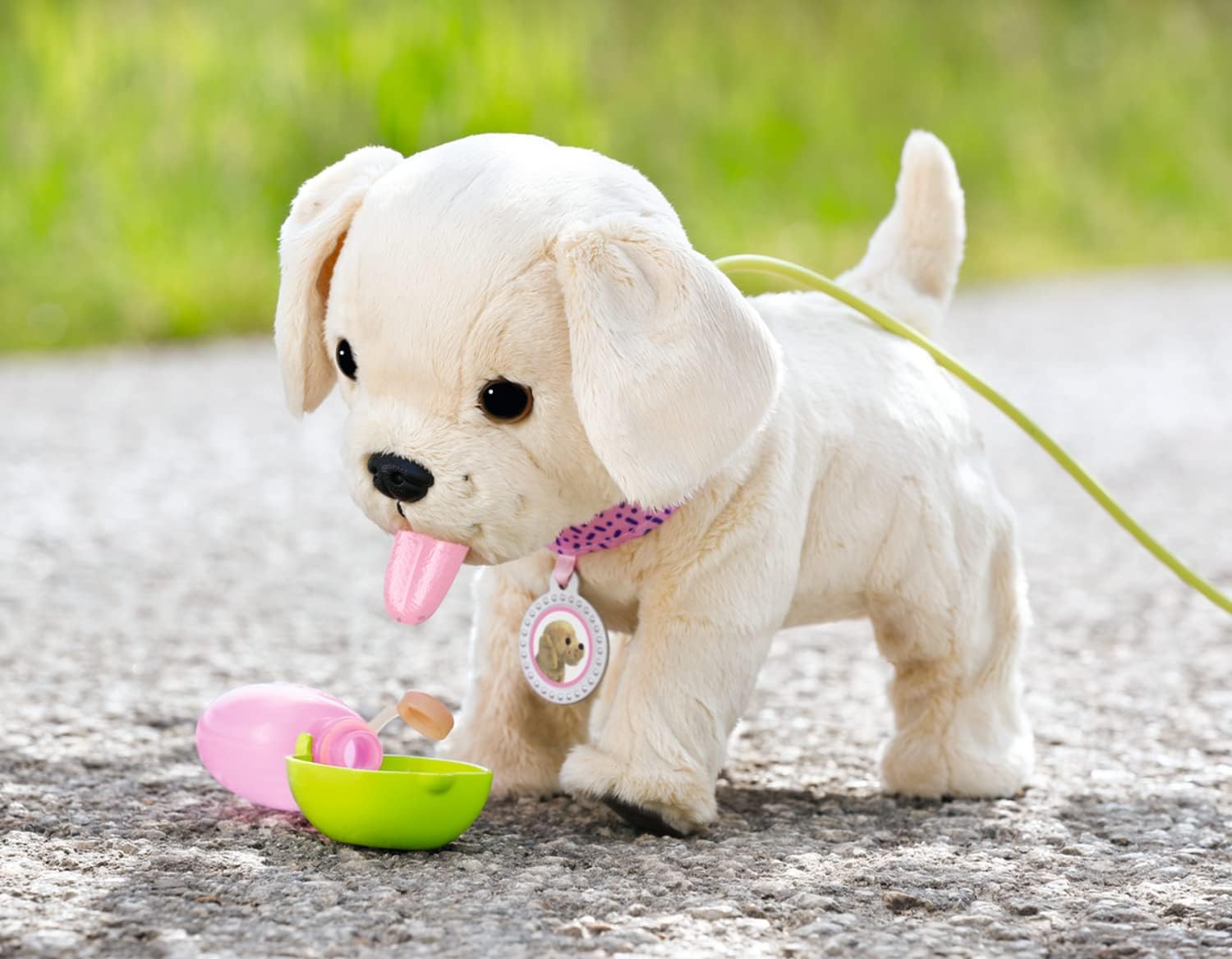Hund, Säugetier, Haustier, Welpe