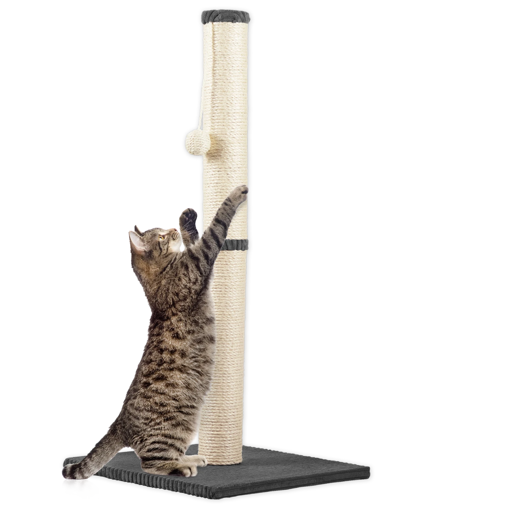 Rohrschneider RS 22385 Katzenbaum Stamm Cord – Kratzbaum mit Spielkugel GR.2