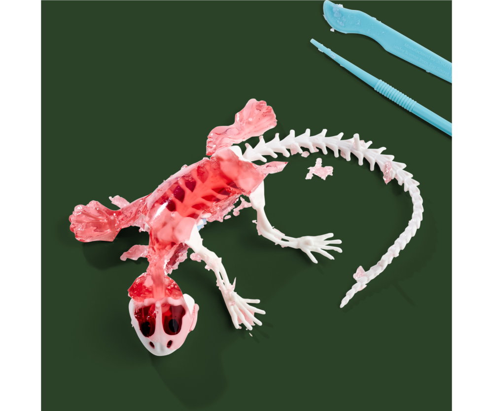 Simba Scout Dissect-It Salamander