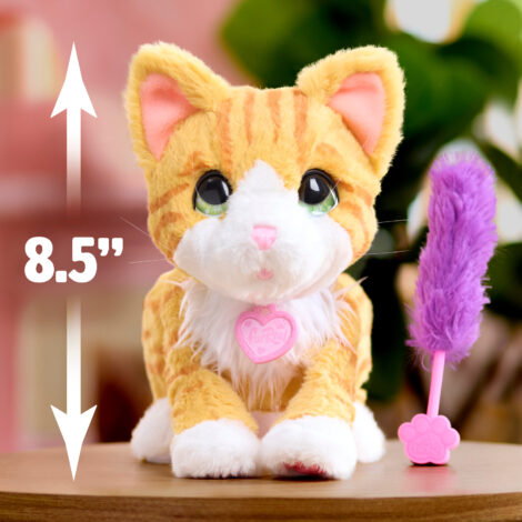 FurReal Bella the Biscuit Making Kitty Plüsch, Spielzeug, Teddybär