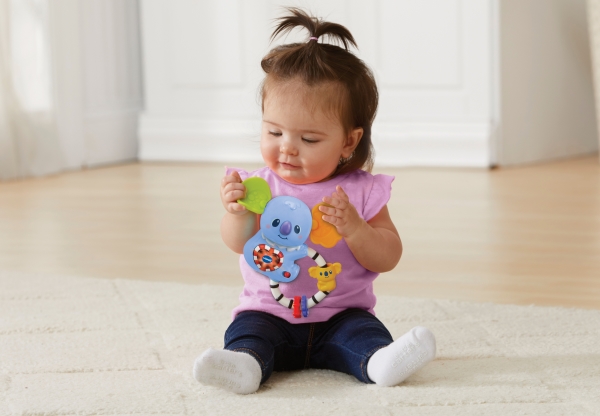 VTech Koalarassel