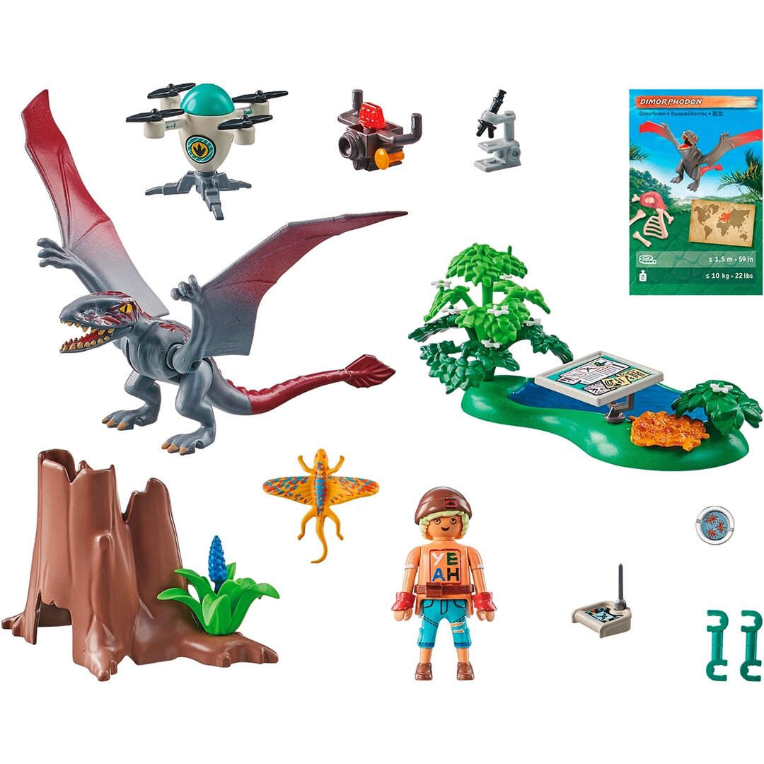 PLAYMOBIL 71525 Beobachtungsstation Für Dimorphodon Spielzeug, Person, Dinosaurier, Figur, Pflanze